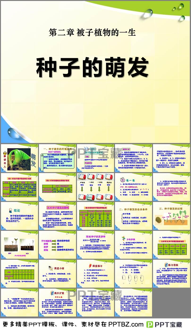 澳门新葡平台网址8883入口