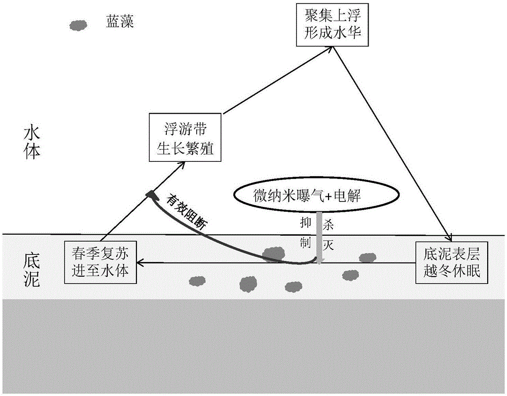 澳门新葡平台网址8883入口